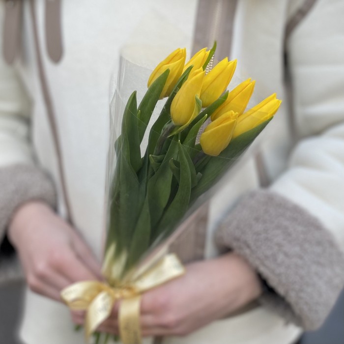 7 желтых тюльпанов в пленке